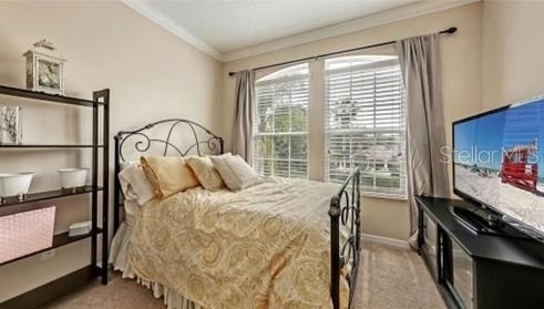 8128 Villa Grande Court - Photo 16