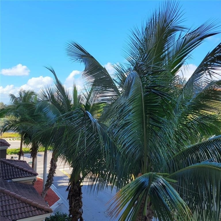 1064 N Tamiami Trail - Photo 11