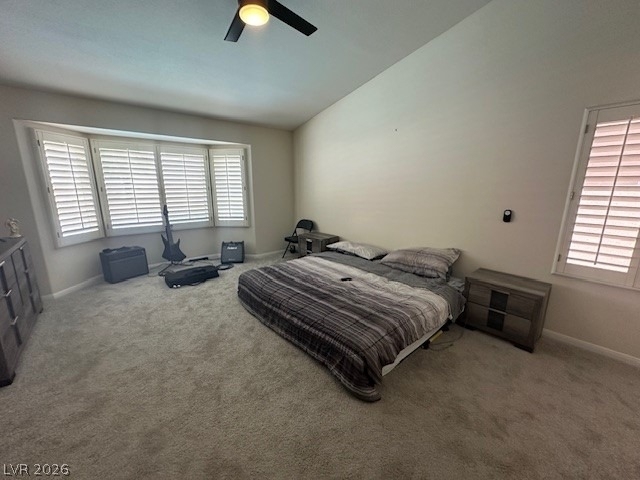 9886 Masked Duck Avenue - Photo 10