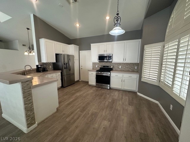9886 Masked Duck Avenue - Photo 9