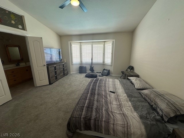 9886 Masked Duck Avenue - Photo 11