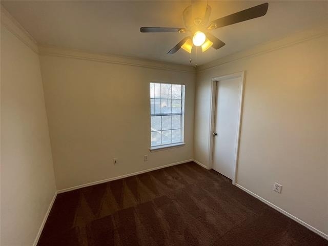 1513 Liberty Lane - Photo 8