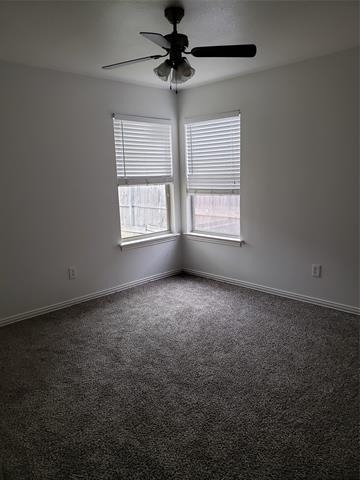 13631 Biggs Street - Photo 11