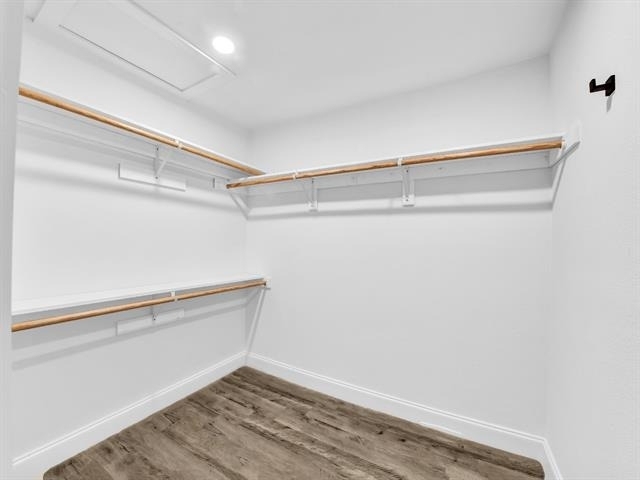 9101 Oels Street - Photo 16