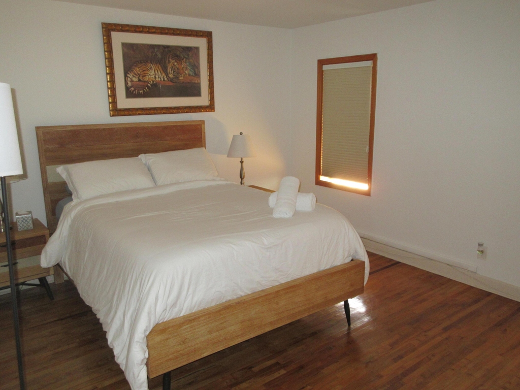 609 Isle Of Palms Drive - Photo 9
