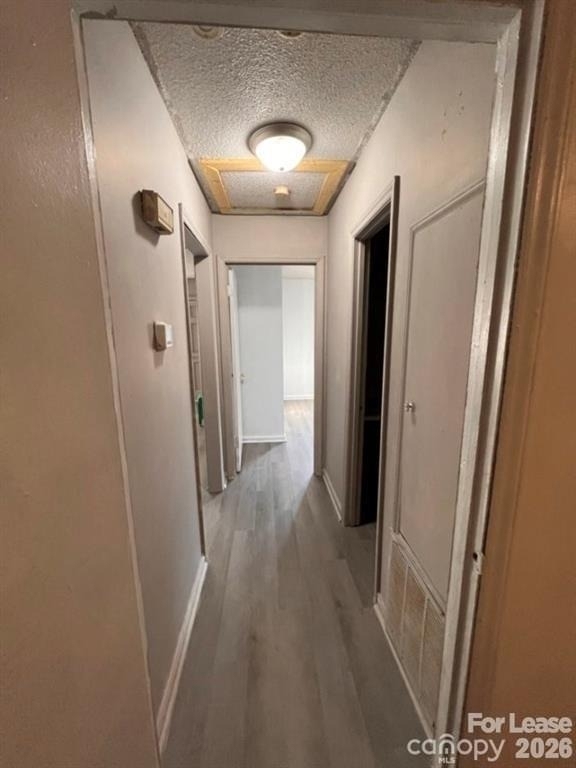 334 Brevard Street - Photo 5