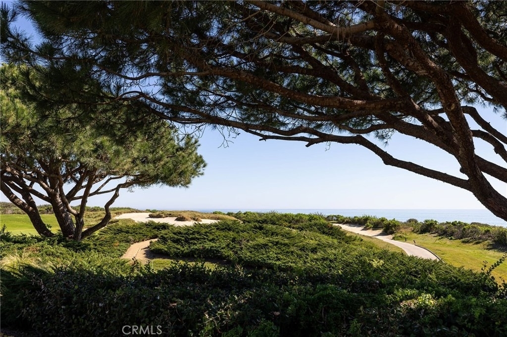 34 Pelican Point - Photo 2