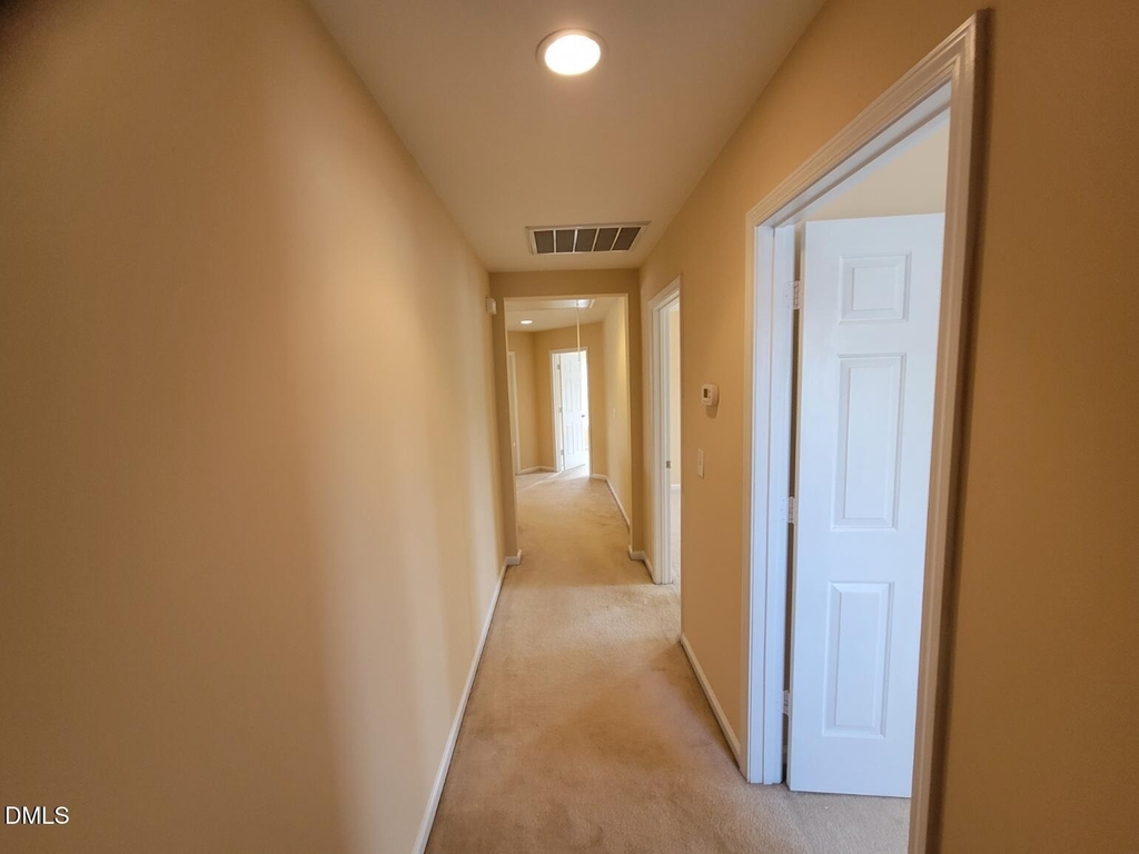 302 Lime Creek Court - Photo 24