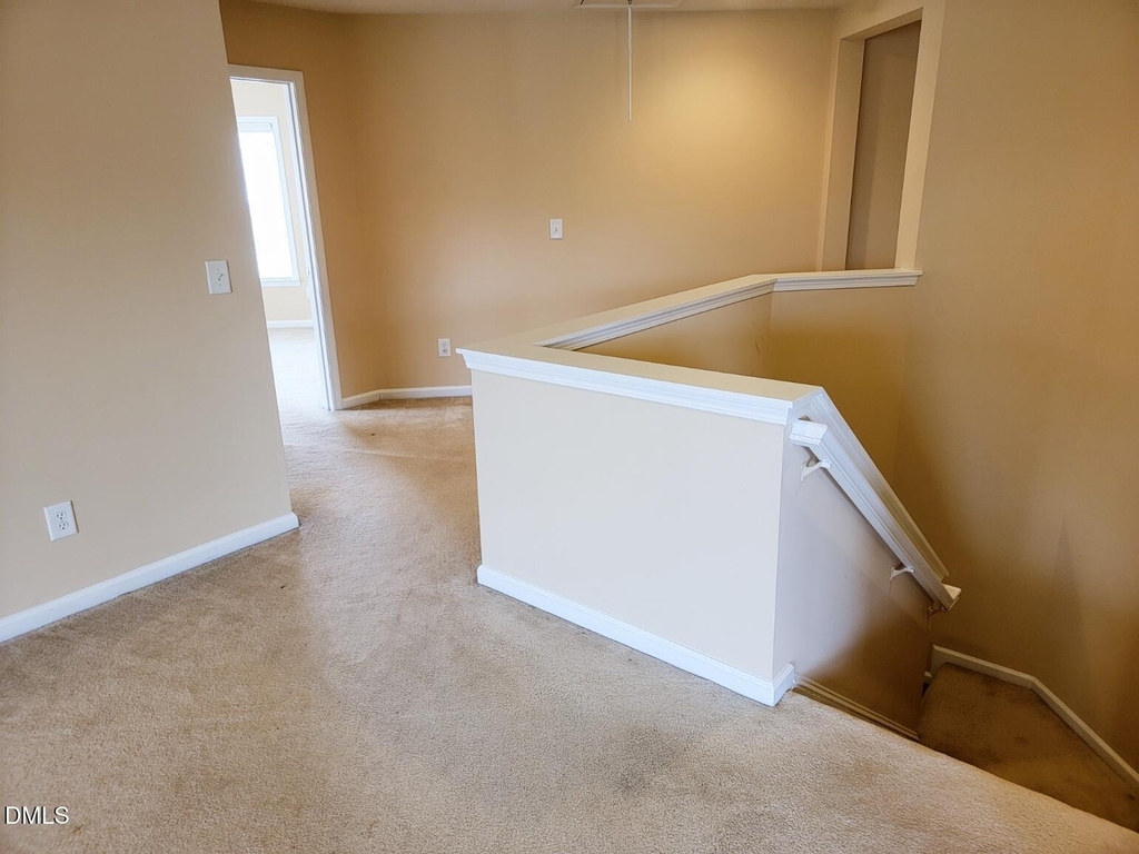 302 Lime Creek Court - Photo 20