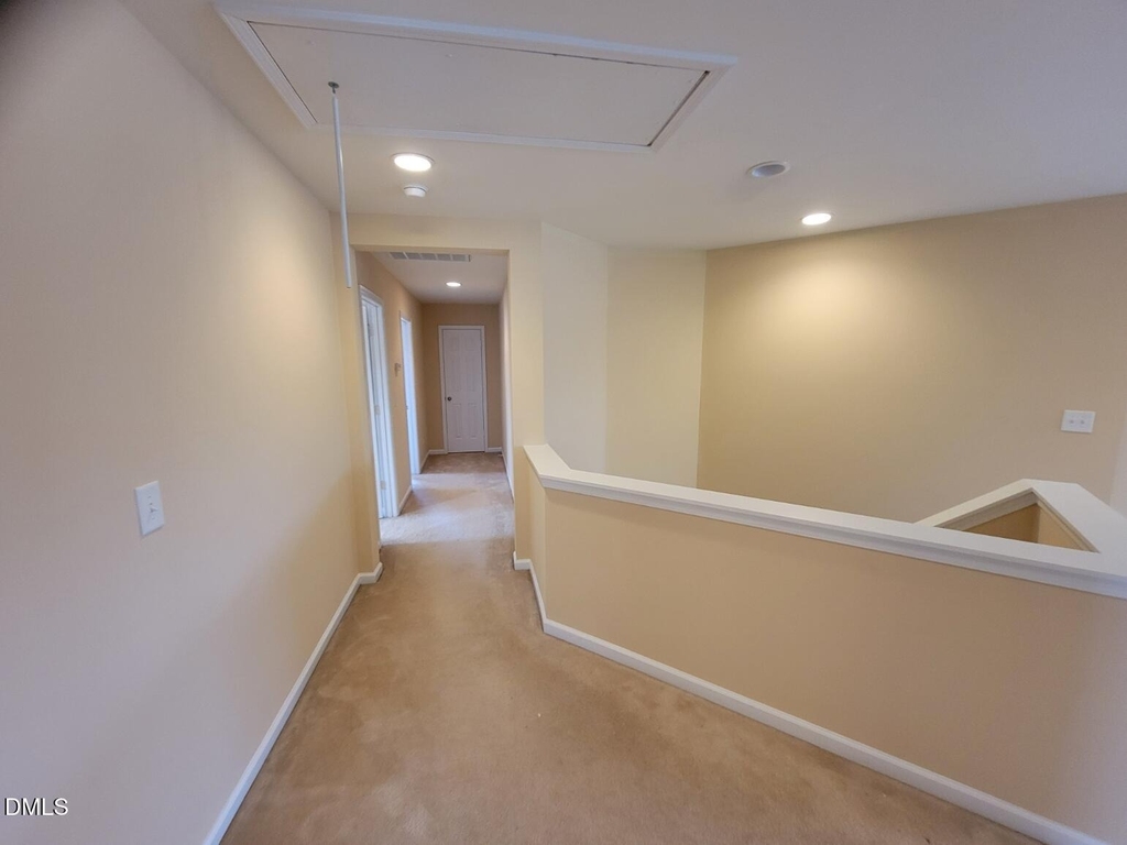 302 Lime Creek Court - Photo 23