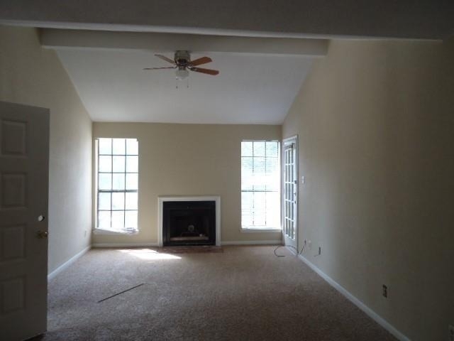 12500 Sandpiper Drive - Photo 17