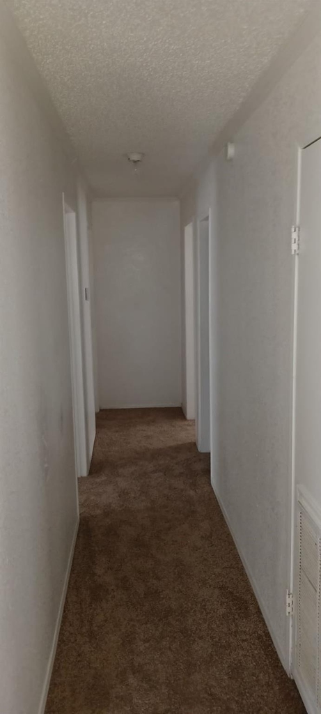 11810 Greenglen Drive - Photo 5