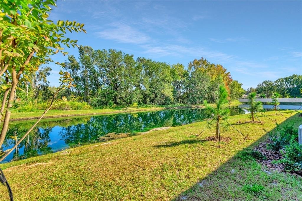 6032 Shiner Street - Photo 52