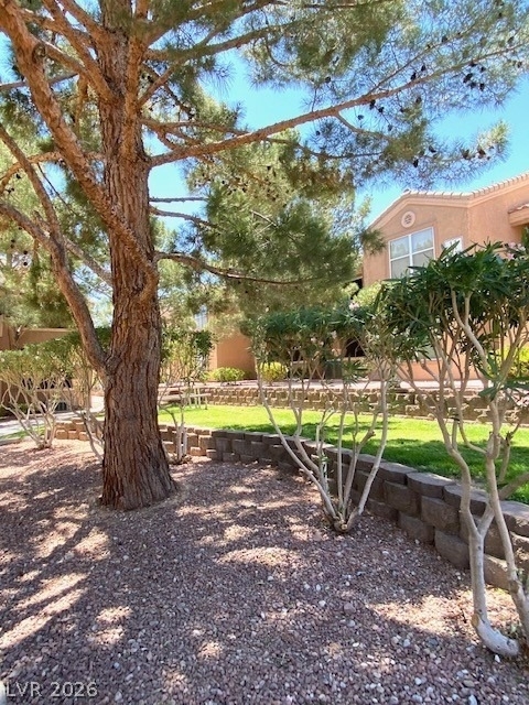 8101 W Flamingo Road - Photo 15