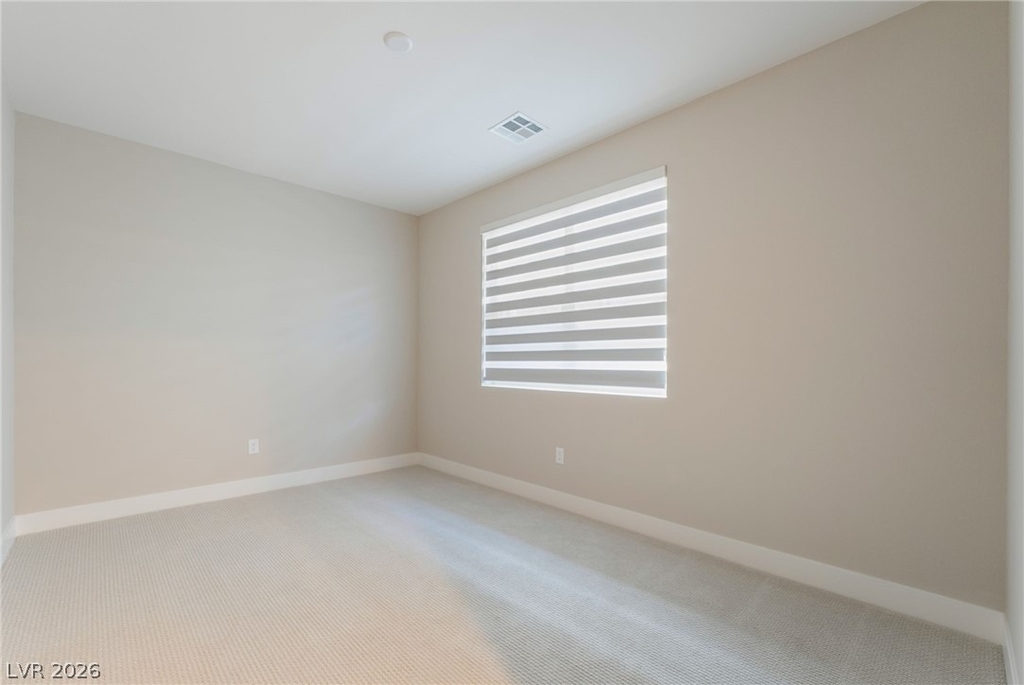 667 Grey Saker Street - Photo 16