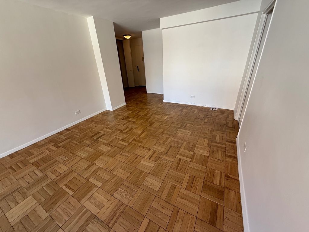 333 East 49th Street - Photo 5