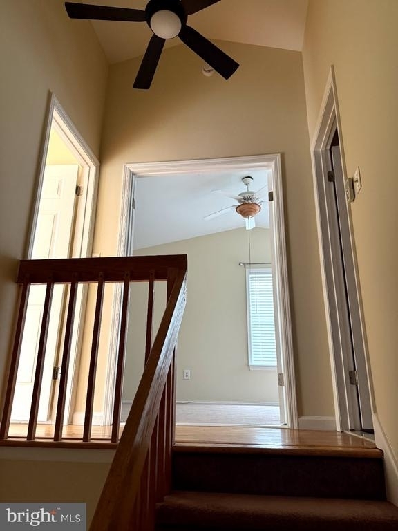 6202 Cedar Court - Photo 20