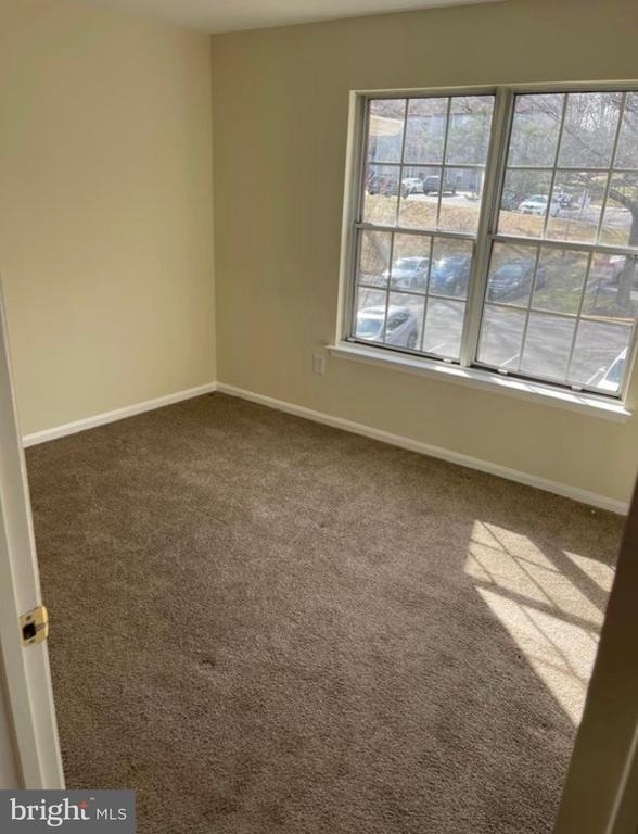 20253 Shipley Terrace - Photo 14