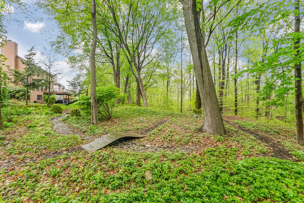 16646 Brooklane Boulevard - Photo 57