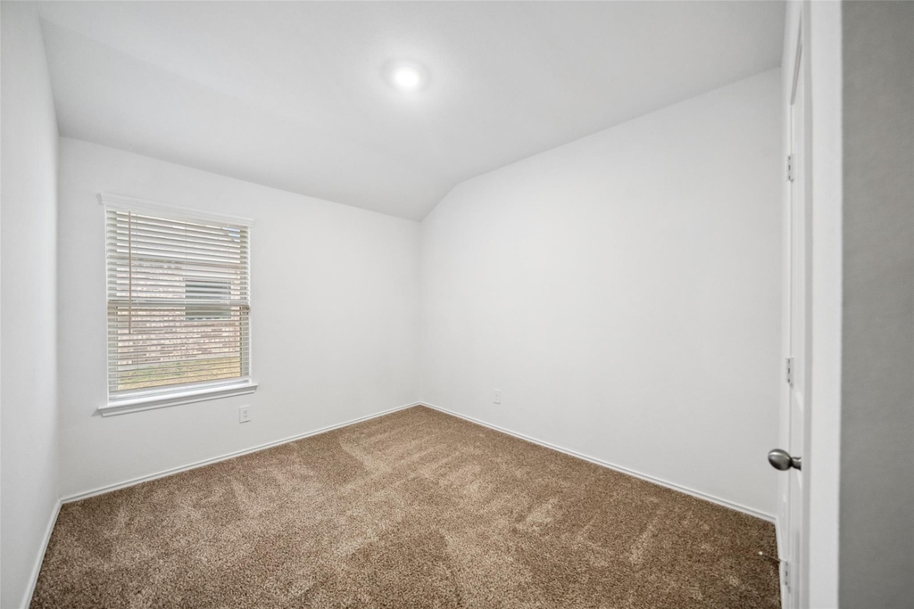 3308 Cold Swan Court - Photo 4
