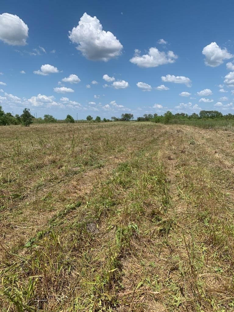 1585 Fm 686 - Photo 1