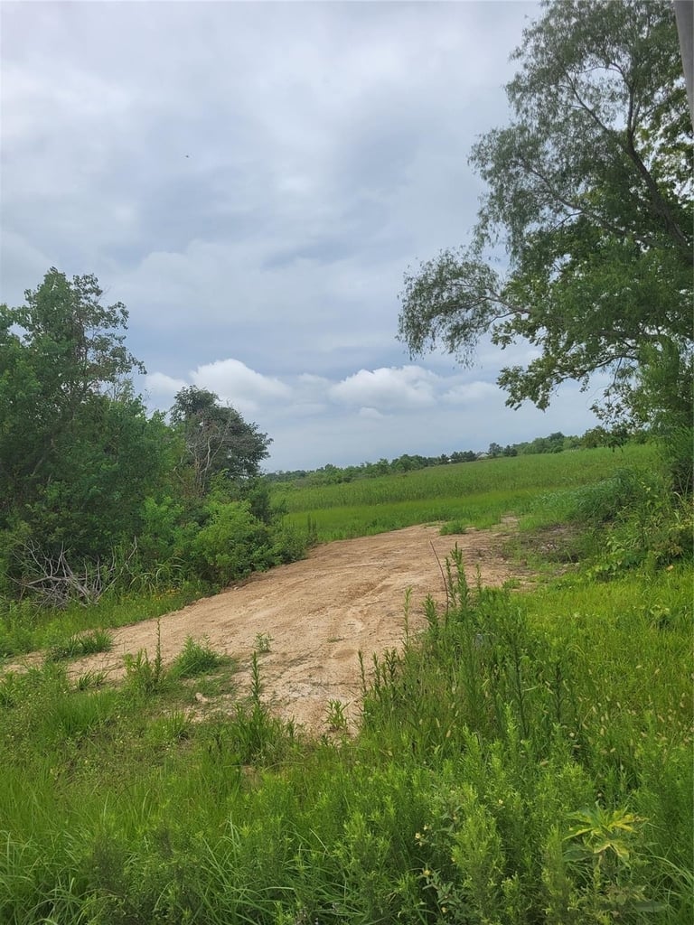 1585 Fm 686 - Photo 5