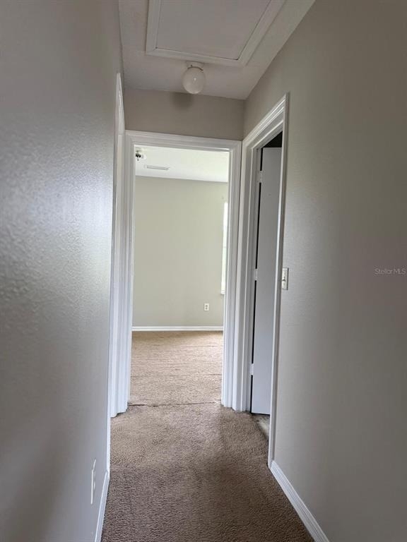 631 Washington Palm Loop - Photo 9