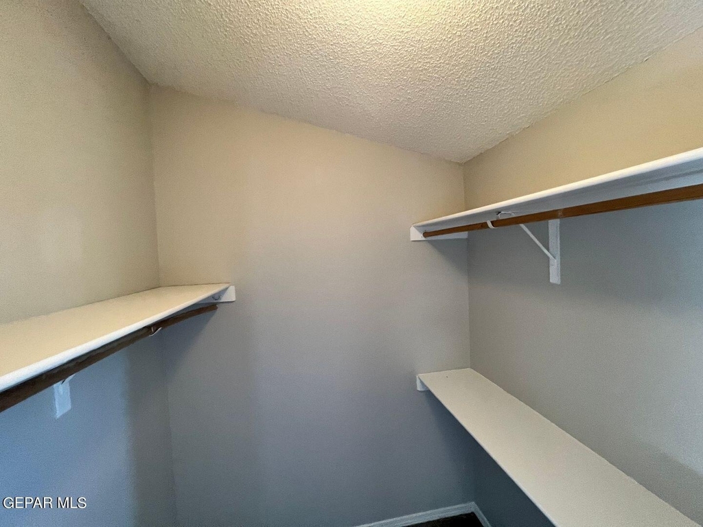 11013 Thatcher Pond Lane - Photo 5