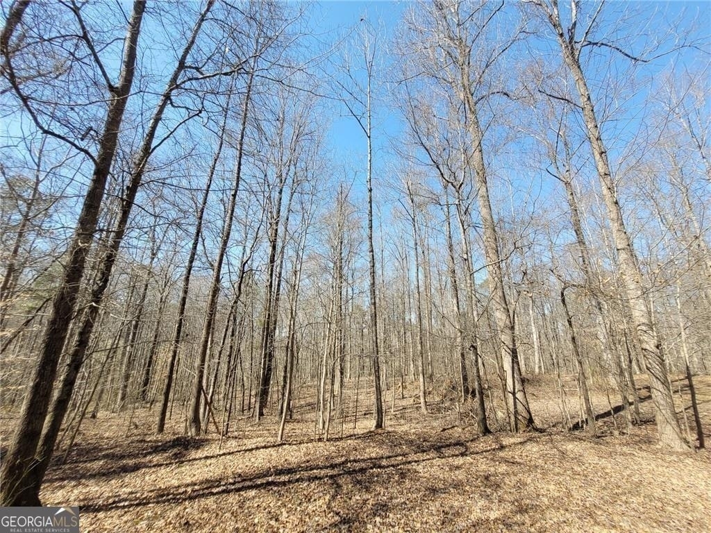 6110 Matt Highway - Photo 18