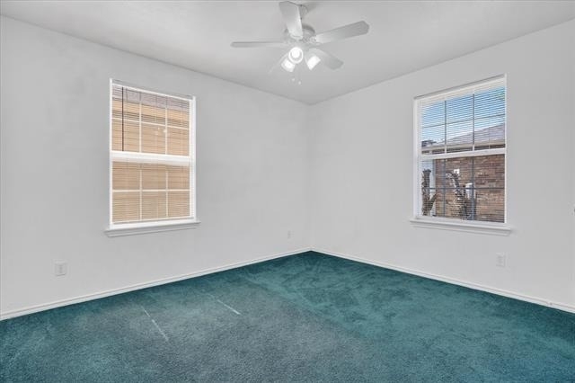 509 W Cedar Street - Photo 12