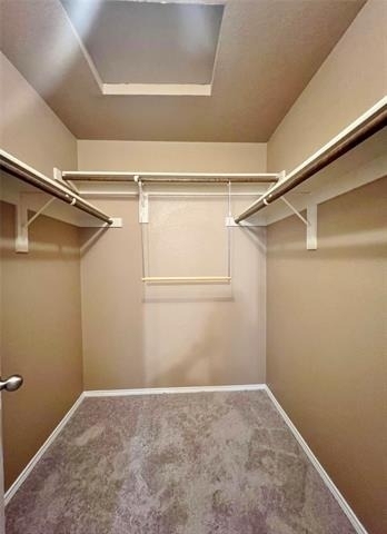 9925 Amaryllis Lane - Photo 13