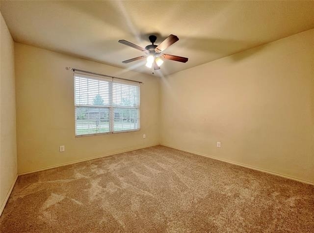 9925 Amaryllis Lane - Photo 14