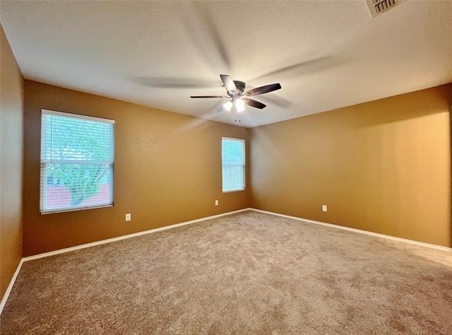 9925 Amaryllis Lane - Photo 9