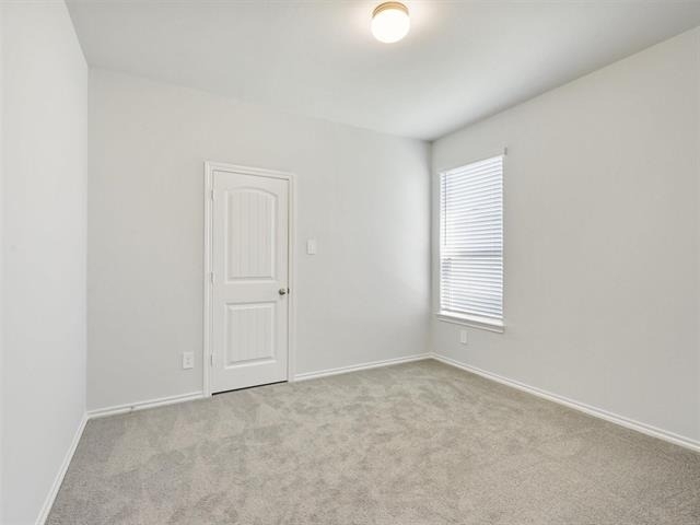 3225 Sedge Grass Drive - Photo 28