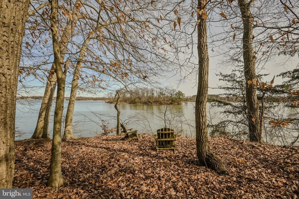 13755 Shallcross Wharf - Photo 40