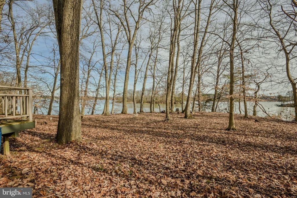 13755 Shallcross Wharf - Photo 41