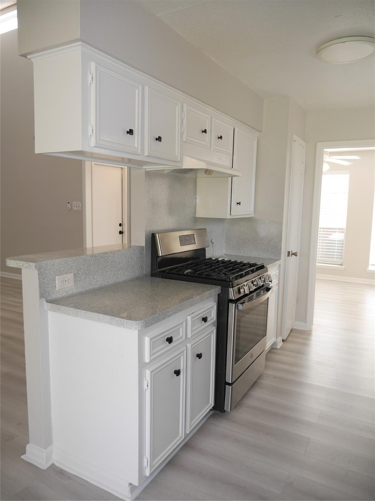 7410 Canasta Lane - Photo 2