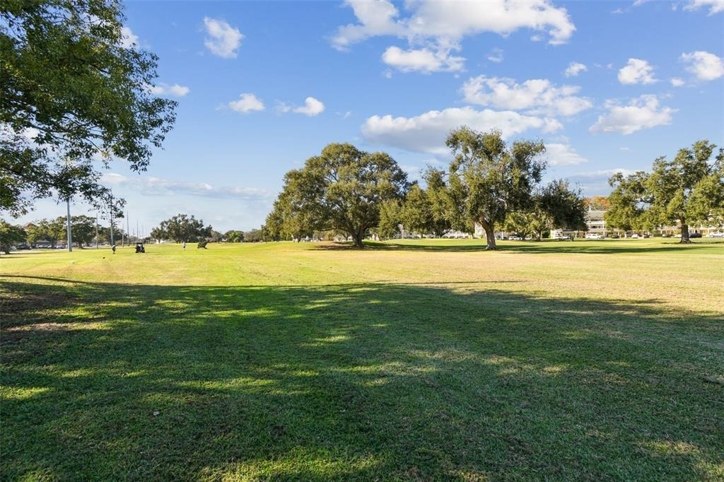 2455 Finlandia Lane - Photo 38