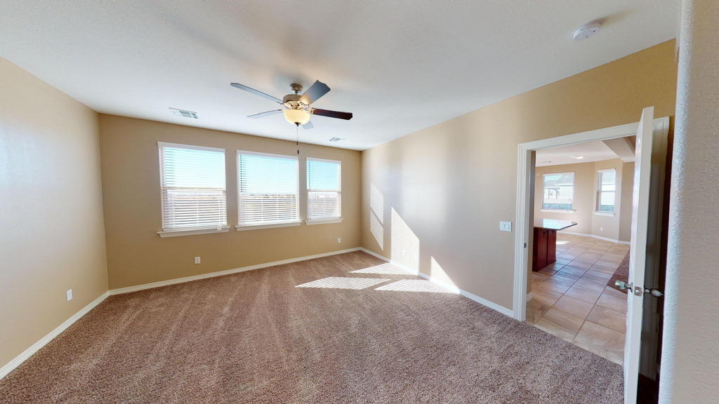 6757 Ixtapa Place - Photo 19