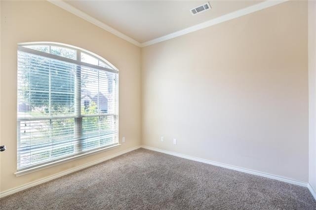 637 Peach Lane - Photo 15