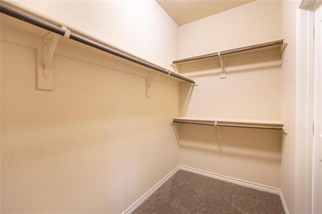 637 Peach Lane - Photo 14