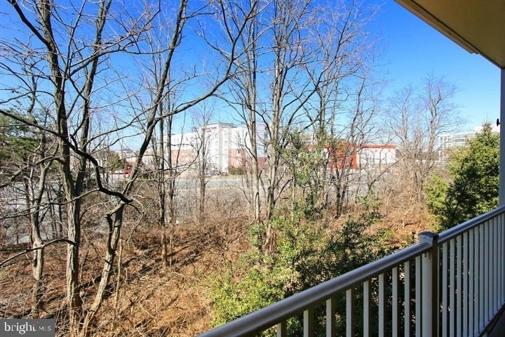 11314 Westbrook Mill Lane - Photo 23