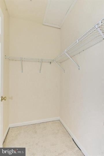 11314 Westbrook Mill Lane - Photo 14