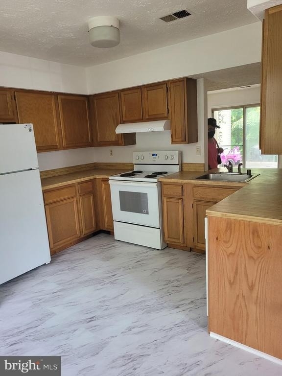11425 Honeysuckle Court - Photo 2
