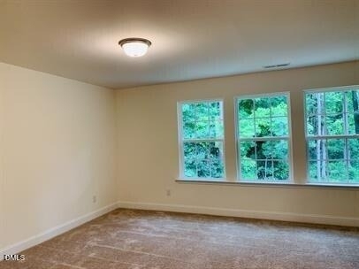 4319 Bethel Park Drive - Photo 11
