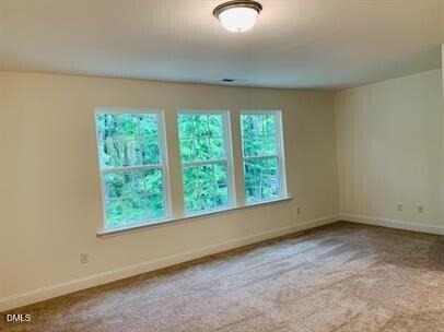 4319 Bethel Park Drive - Photo 9