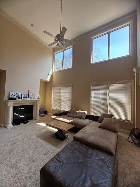 2065 Manor View - Photo 3