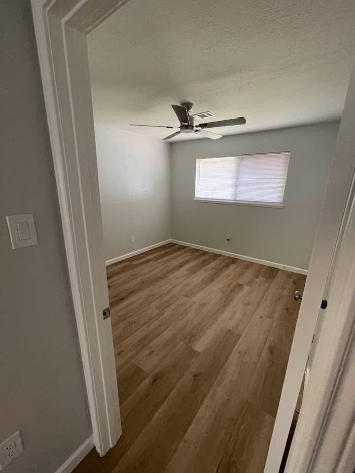 11002 Segrest Drive - Photo 3