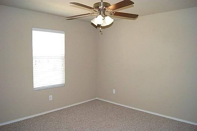3904 Camino Real Trail - Photo 10