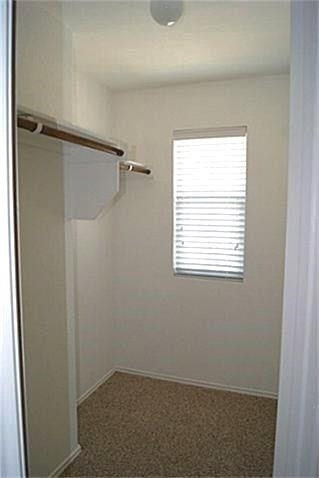 3904 Camino Real Trail - Photo 12